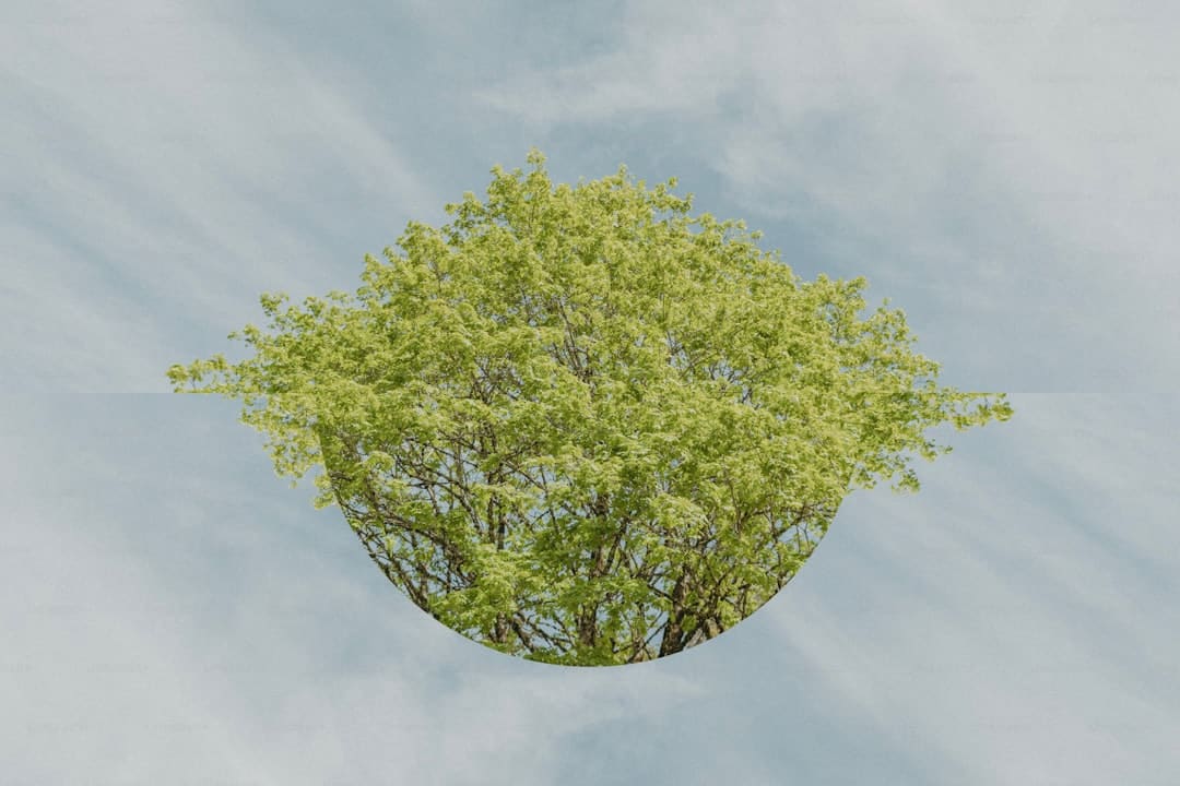 http://www.kcrea.cc/skin/default/image/zoomin.gif